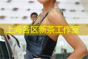 上海各区新茶工作室：上海娱乐场所大盘点，哪家才是霸主？