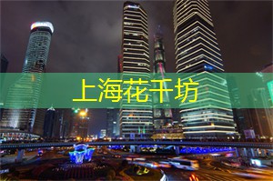 上海419论坛：上海圣地巡礼：探寻夜晚明星聚集的场所