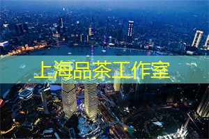 爱上海：也吸引了来自世界各地的专业人士