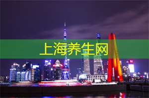 阿拉爱上海：上海会所文化盛典：探索艺术与品味的完美邂逅!